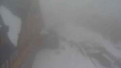 Parkoviště a hlavní vchod