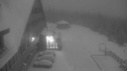 Parkoviště a hlavní vchod