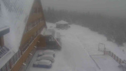 Parkoviště a hlavní vchod