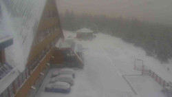 Parkoviště a hlavní vchod