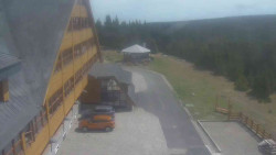 Parkoviště a hlavní vchod