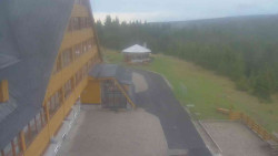 Parkoviště a hlavní vchod