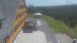 Parkoviště a hlavní vchod