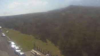 Snímek    9.5.2025 v 09:30