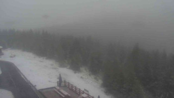 Snímek    15.5.2025 v 08:30