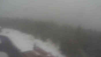 Snímek    15.5.2025 v 08:55