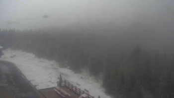 Snímek    15.5.2025 v 09:50