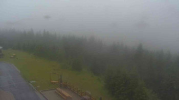 Snímek    7.7.2025 v 07:35