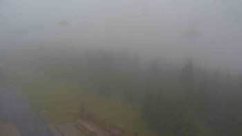 Snímek    7.7.2025 v 07:50