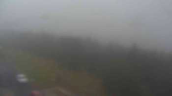Snímek    17.9.2025 v 08:20