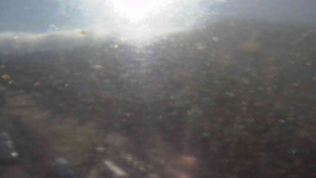 Snímek    19.10.2025 v 09:00