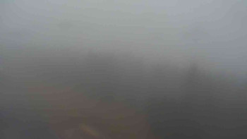 Snímek    23.10.2025 v 07:50
