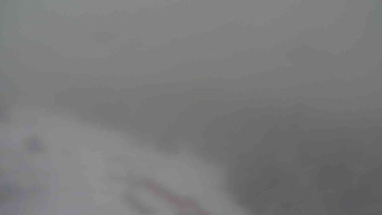 Snímek    28.10.2025 v 15:00
