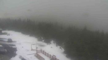 Snímek    29.10.2025 v 07:45