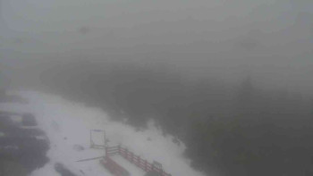 Snímek    29.10.2025 v 11:05