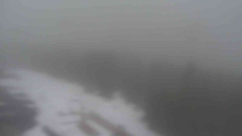 Snímek    29.10.2025 v 11:20