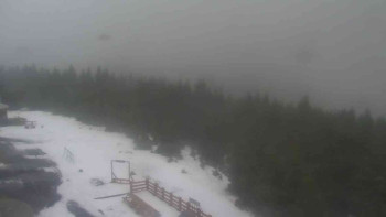 Snímek    29.10.2025 v 11:45