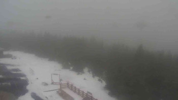 Snímek    29.10.2025 v 11:50