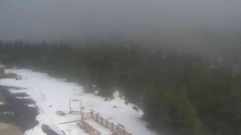 Snímek    29.10.2025 v 14:00