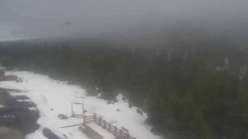 Snímek    29.10.2025 v 14:05