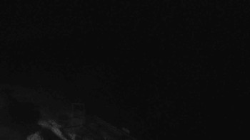 Snímek    29.10.2025 v 19:55