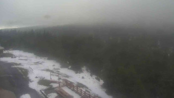 Snímek    30.10.2025 v 09:20