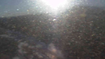 Snímek    31.10.2025 v 08:10