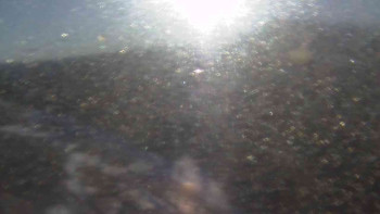 Snímek    31.10.2025 v 08:15