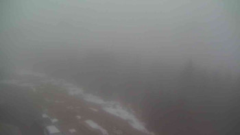 Snímek    1.11.2025 v 06:35