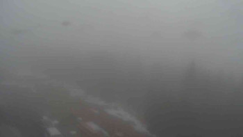 Snímek    1.11.2025 v 09:15