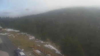 Snímek    1.11.2025 v 12:00