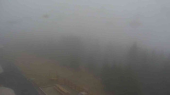 Snímek    2.11.2025 v 12:35