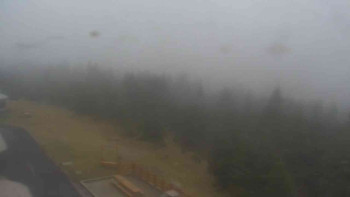 Snímek    2.11.2025 v 13:05