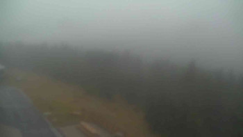 Snímek    3.11.2025 v 07:00