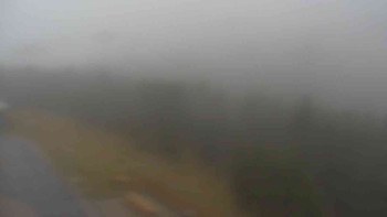 Snímek    3.11.2025 v 07:25