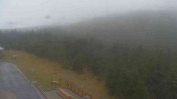 Snímek    3.11.2025 v 10:05