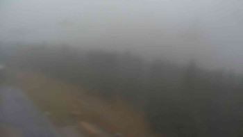 Snímek    3.11.2025 v 10:55