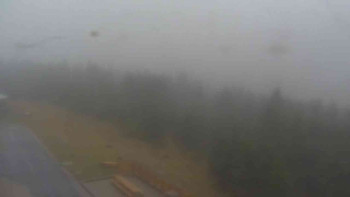 Snímek    3.11.2025 v 11:00