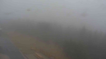 Snímek    3.11.2025 v 15:30