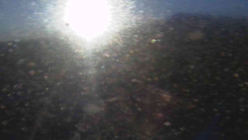 Snímek    4.11.2025 v 07:20