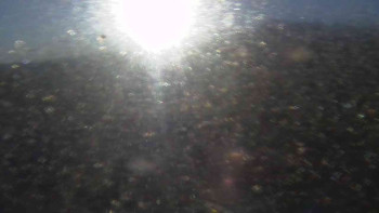 Snímek    4.11.2025 v 07:35