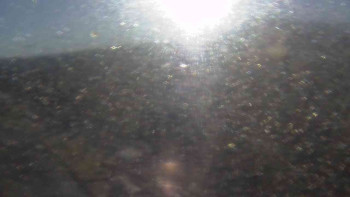 Snímek    4.11.2025 v 08:15