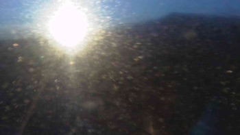 Snímek    5.11.2025 v 07:00