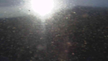 Snímek 5.11.2025 v 07:30