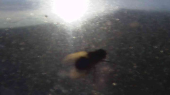 Snímek    5.11.2025 v 07:35