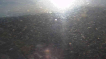 Snímek 5.11.2025 v 08:25