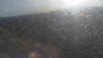 Snímek 5.11.2025 v 09:00