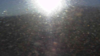 Snímek 6.11.2025 v 07:55