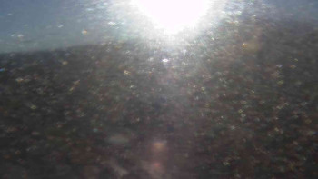 Snímek 6.11.2025 v 08:10