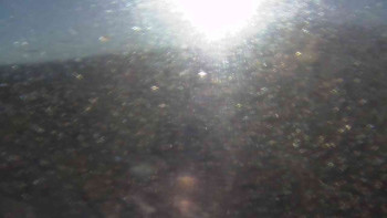 Snímek 6.11.2025 v 08:15